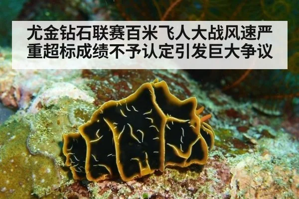 尤金钻石联赛百米飞人大战风速严重超标成绩不予认定引发巨大争议